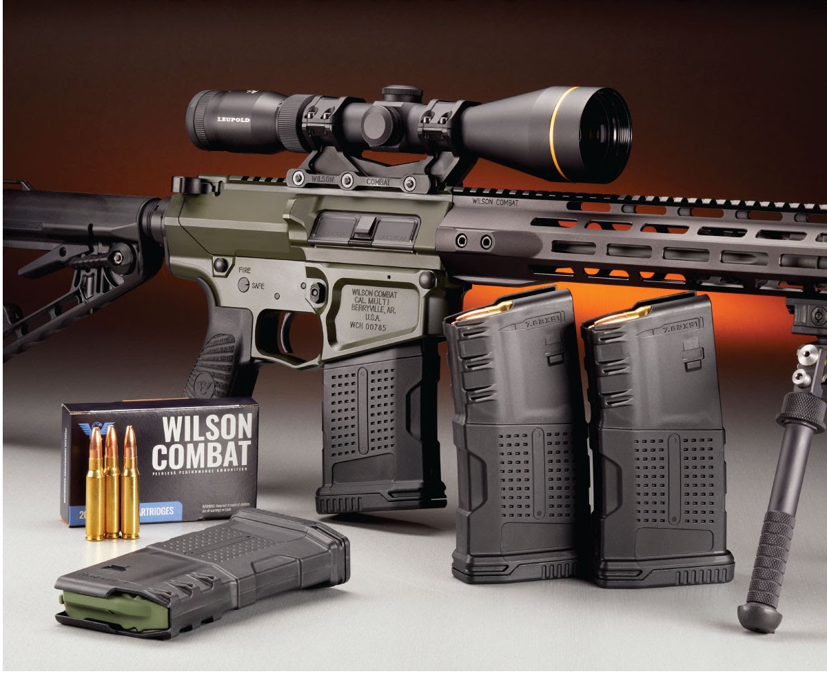 ar-10 caliber